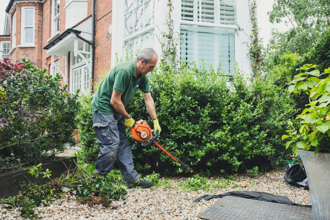 Hedge trimming & tree care — APD Landscaping, Northern Ireland